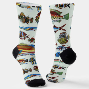 Chaussette Impression d'histoire naturelle de poissons exotiq