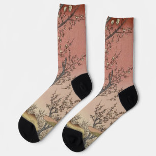 Chaussette Jardin de prune fleuri d'arbre japonais