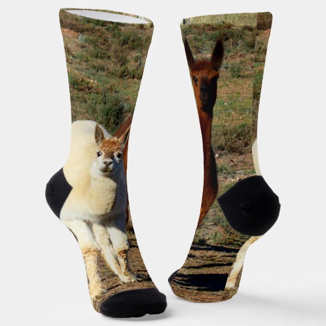 Chaussette Jeunes Alpacas Brown Et Blancs, Chaussettes D'Équi (Angulaire)