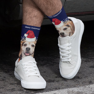 Chaussette Joli animal de compagnie photo Santa Hat Bleu Noël