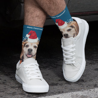 Chaussette Joli animal de compagnie photo Santa Hat Bleu Noël