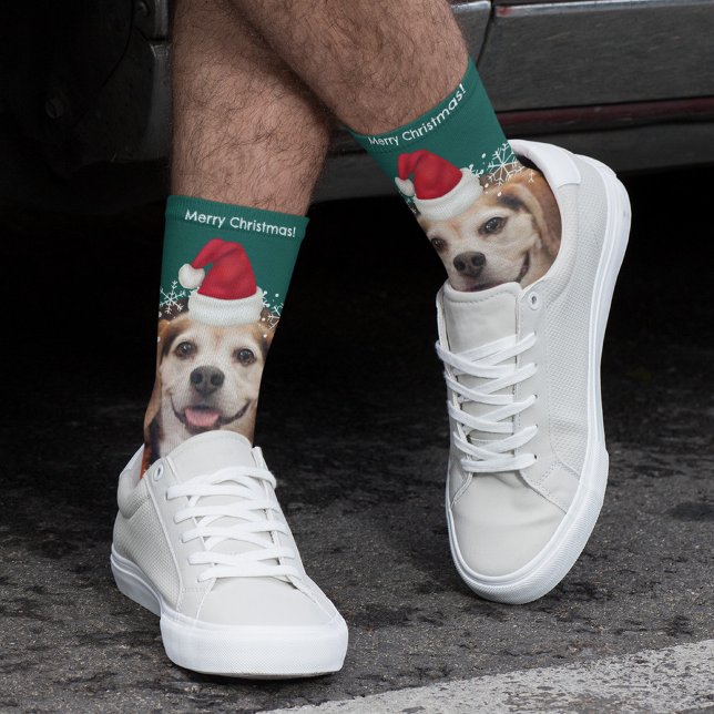 Chaussette Joli animal de compagnie photo Santa Hat Green Noë (Créateur téléchargé)