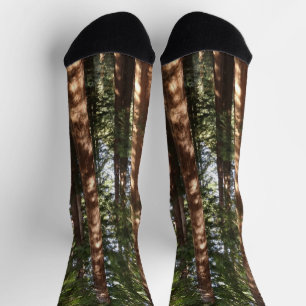 Chaussette Jusqu'aux séquoias II à Muir Woods National Monume