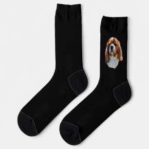 Chaussette King Charles Spaniel, Chaussettes d'équipage