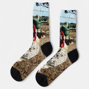 Chaussette **"La Majesté tachetée : le coq de ferme moucheté"
