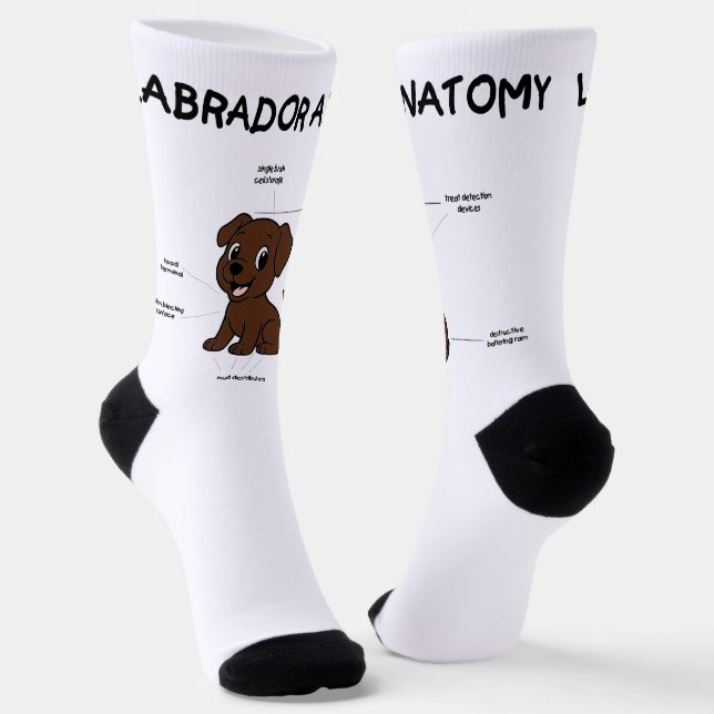 Chaussette Labrador Retriever Chocolat Dessin Animé Anatomie (Angulaire)
