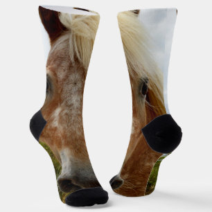 Chaussette "Le sucre : la grâce de l'Appaloosa"