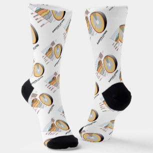 Chaussette Les couches de la Terre Géologie de la science de
