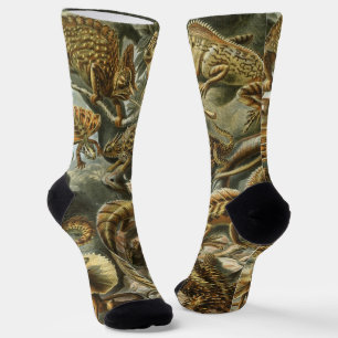 Chaussette Lézards par Ernst Haeckel Vintage Lacertilia Anima