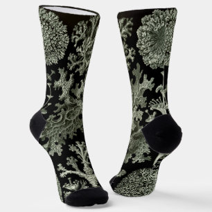 Chaussette Lichen par Ernst Haeckel, Plantes Vintages de la n