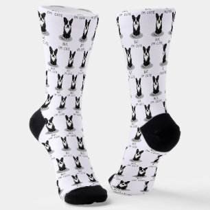 Chaussette Mais, je suis mignon Boston Terrier (noir) Drôle C