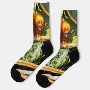 Chaussette Marmoset orange, Chaussettes d'équipage