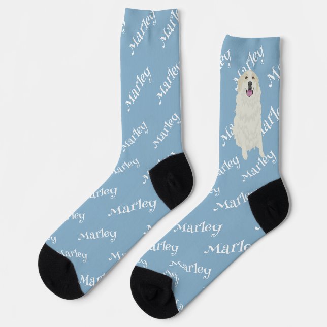 Chaussette Marques de blaireau des Pyrénées (Gauche)