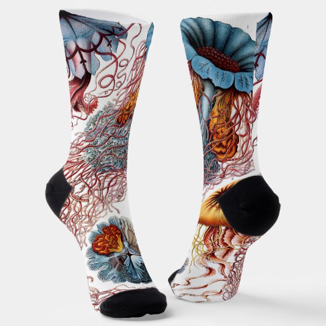 Chaussette Méduses vintage par Ernst Haeckel, Discomedusae (Angulaire)
