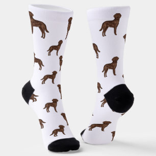 Chaussette Motif de chien Brown de l'extracteur de chocolat L