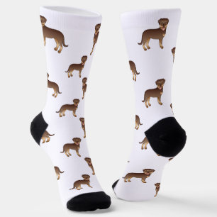 Chaussette Motif de chien de dessin animé mignon Rottweiler r
