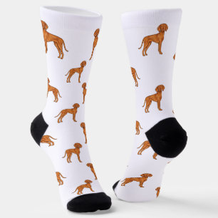 Chaussette Motif de chien pointer dessin animé mignon Vizsla