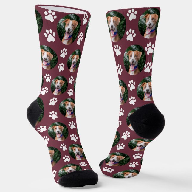 Chaussette Motif d'empreinte de patte de photo d'animal de co (Angulaire)