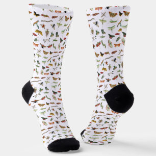 Chaussette Motif d'illustration coloré d'insectes Vintages