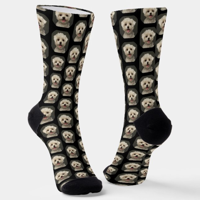 Chaussette Motif photo pour animaux de compagnie sur Black Tr (Angulaire)