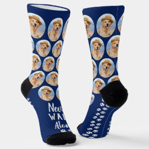 Chaussette Ne Jamais Marcher Seul Empreintes de Patte Photo d