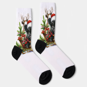 Chaussette Noël, Highland, Vache, Chaussettes