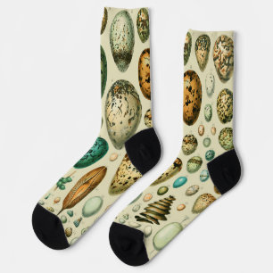 Chaussette Œufs d'oiseaux vintage Art de l'œuf de poisson fra