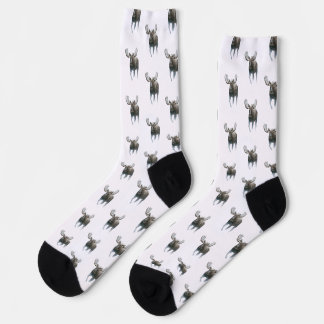 Chaussette Orignal mâle marchant à travers la neige boréale