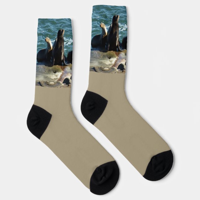Chaussette Otaries de San Diego (Droite)