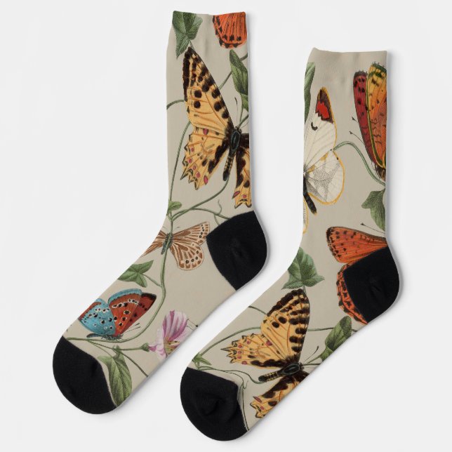Chaussette Papillon Moth Nature Collection Dessin (Gauche)