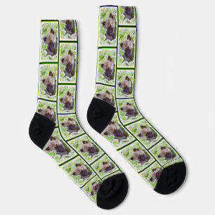 Chaussette Peinture de Keeshond : Chiot dans le jardin Œuvre 