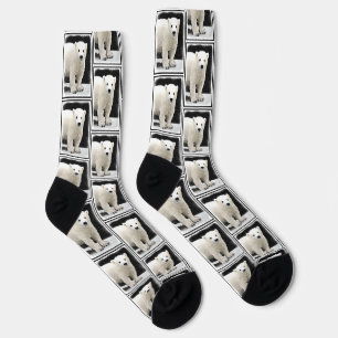 Chaussette Peinture de l'ours polaire Art faunique original