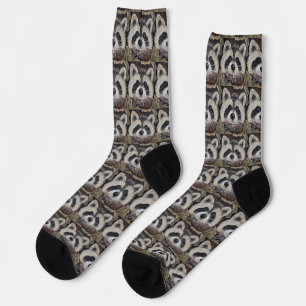 Chaussette Peinture de Raton Laveur