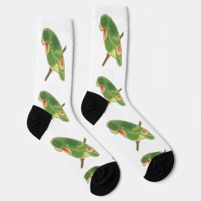 Chaussette Perruche Verte Tropicale Thunder_Cove (Droite)