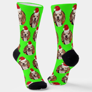 Chaussette Photo d'animal de compagnie Neon Green Chapeaux de