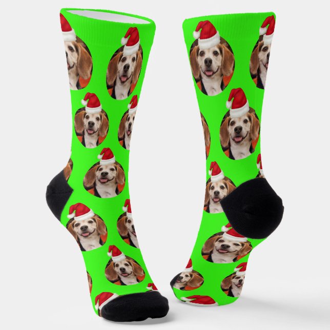 Chaussette Photo d'animal de compagnie Neon Green Chapeaux de (Angulaire)