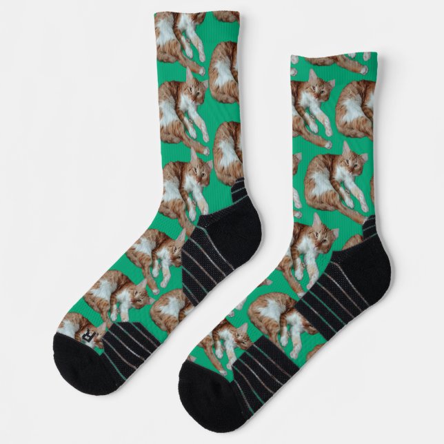 Chaussette Photo de chat doux vert  (Gauche)