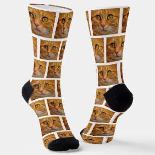 Chaussette Photo de chat tigré roux personnalisé sur chausset