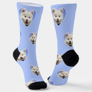 Chaussette Photo de chien personnalisée sur des chaussettes d