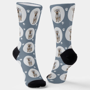 Chaussette Photo de chien personnalisée sur fond bleu ardoise
