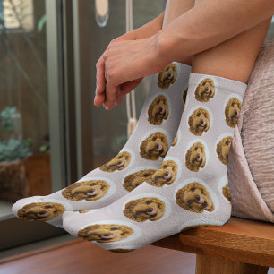 Chaussette Photo personnalisée pour animaux   Personnalisé Pi