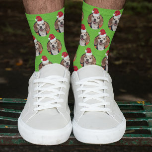 Chaussette Photo pour animaux de compagnie vert sportif et ch