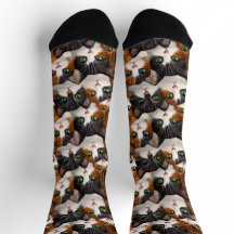 Pile De Chaussettes De Chat