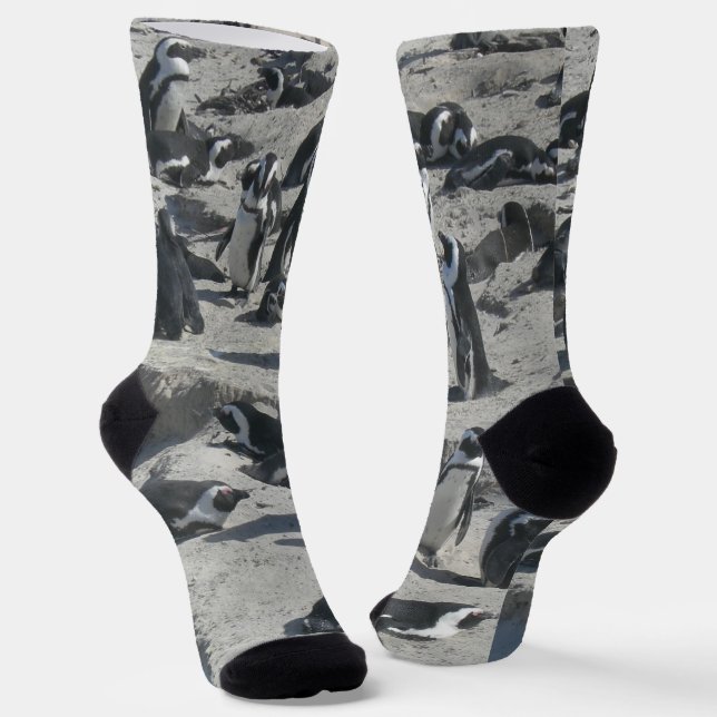 Chaussette Pingouins mignons sur des Chaussettes d'équipage d (Angulaire)