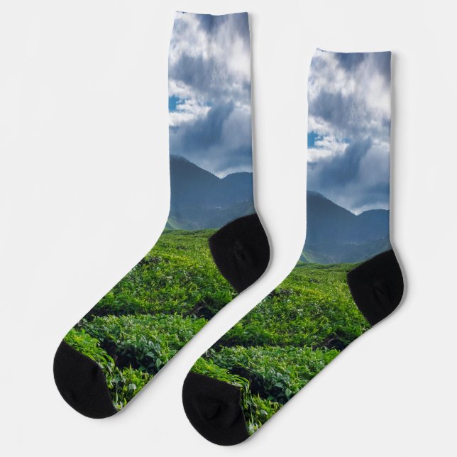 Chaussette Plantation de thé de Cameron Highlands (Gauche)