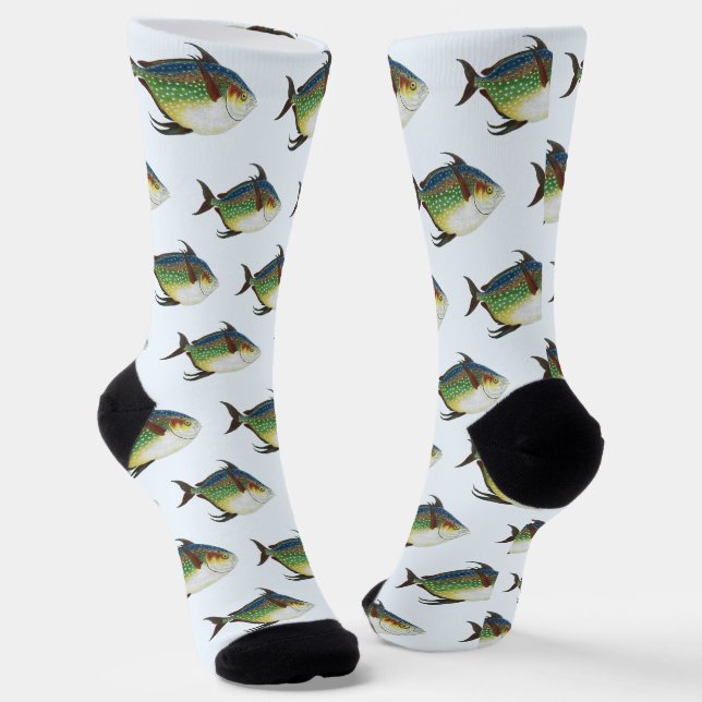 Chaussette Poisson lunaire tropical, animal aquatique marin v (Angulaire)