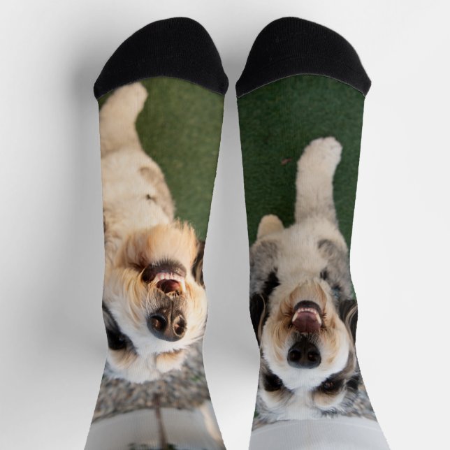 Chaussette Pupper Socks (Haut)