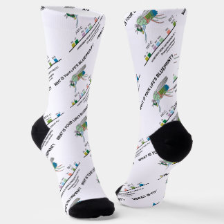 Chaussette Quel est le plan directeur de votre vie ? Biologie