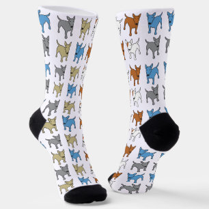 Chaussette Rainbow Bull Terrier Chien Chien Chien Chien Arc-e