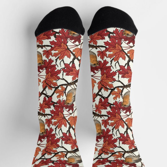 Chaussette Robins in maple tree on off white (Haut)